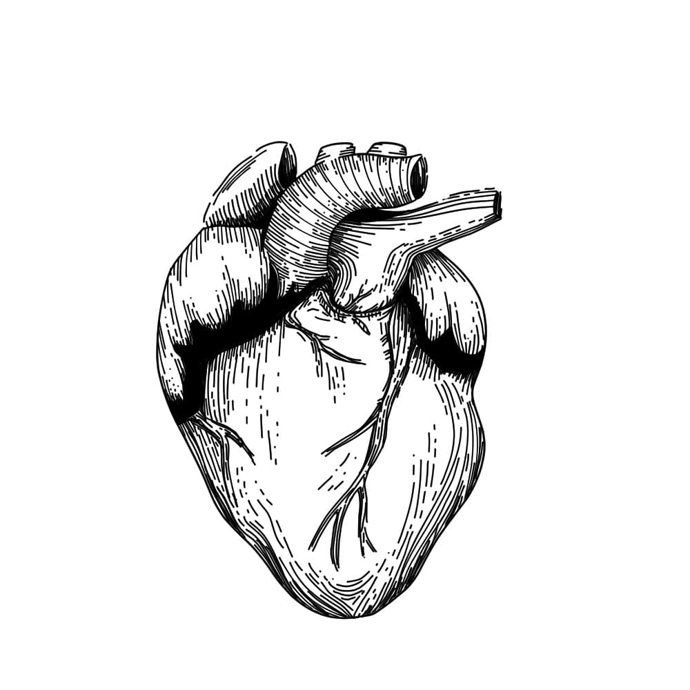 NerdsdayComic's tweet photo. Pen and ink practice for a secret project. Yall can tell that's a heart, right?
#PenAndInk #sketches #practice #somethingsecret #WIP #heart #clipstudiopaint https://t.co/Ke4v4WncPh
