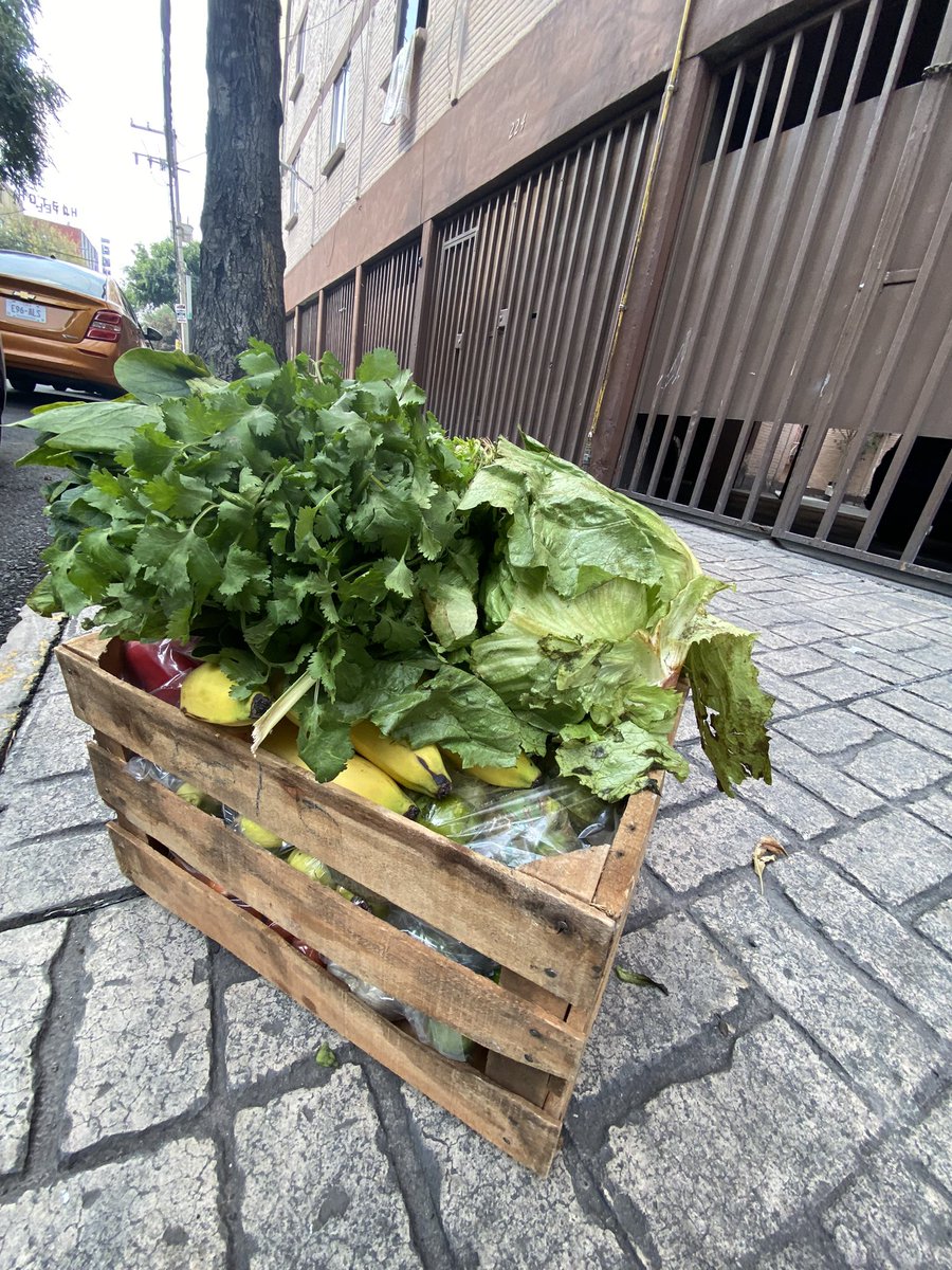 EscapadasM's tweet photo. ¡A tus órdenes para llevar tu abasto hasta la puerta de tu hogar! LISTA DE 1/2 y KILOS ENTREGA VIERNES 15 Y SÁBADO 16 DE OCT. 👨🏻‍🌾 #CDMX #coyoacan #iztacalco #Narvarte #ColRoma #ColCondesa #Escandon #Portales #Mixcuac #Taxqueña #ColObrera https://t.co/ZE4r6i7WST