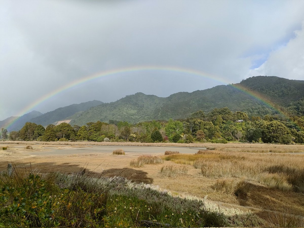 Kate UpsideBackwards tweet media