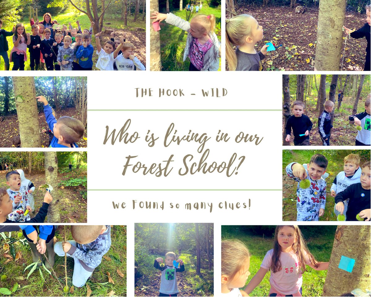 Monnow_Primary's tweet image. After seeing a video of (what appeared to be) a mystery visitor living in our Forest School, #DosbarthOpal became engrossed in finding the evidence. We found secret messages, natural treasures and even an exciting book! @EAS_EarlyYears @EAS_LLCEnglish @GregBottrill @_OLW_