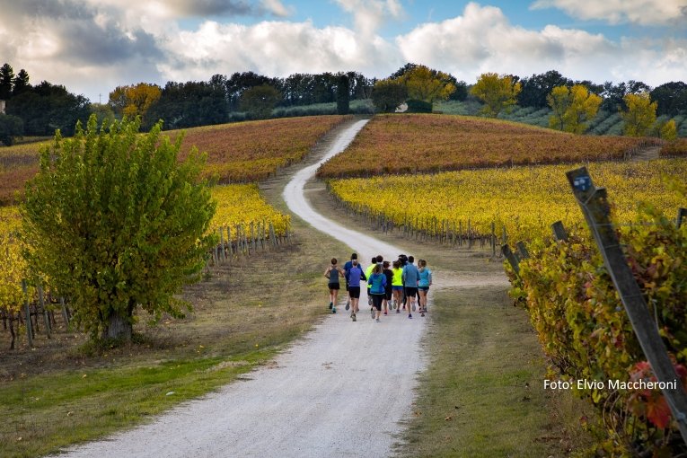 Montefalco e Bevagna - Sabato 30 e Domenica 31 ottobre appuntamento con la 2^ edizione della Sagrantino Running 2021. montefalco.it/sagrantino-run…