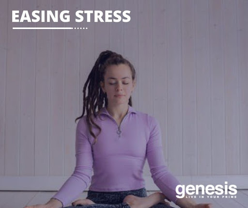 Genesis Performance tweet media