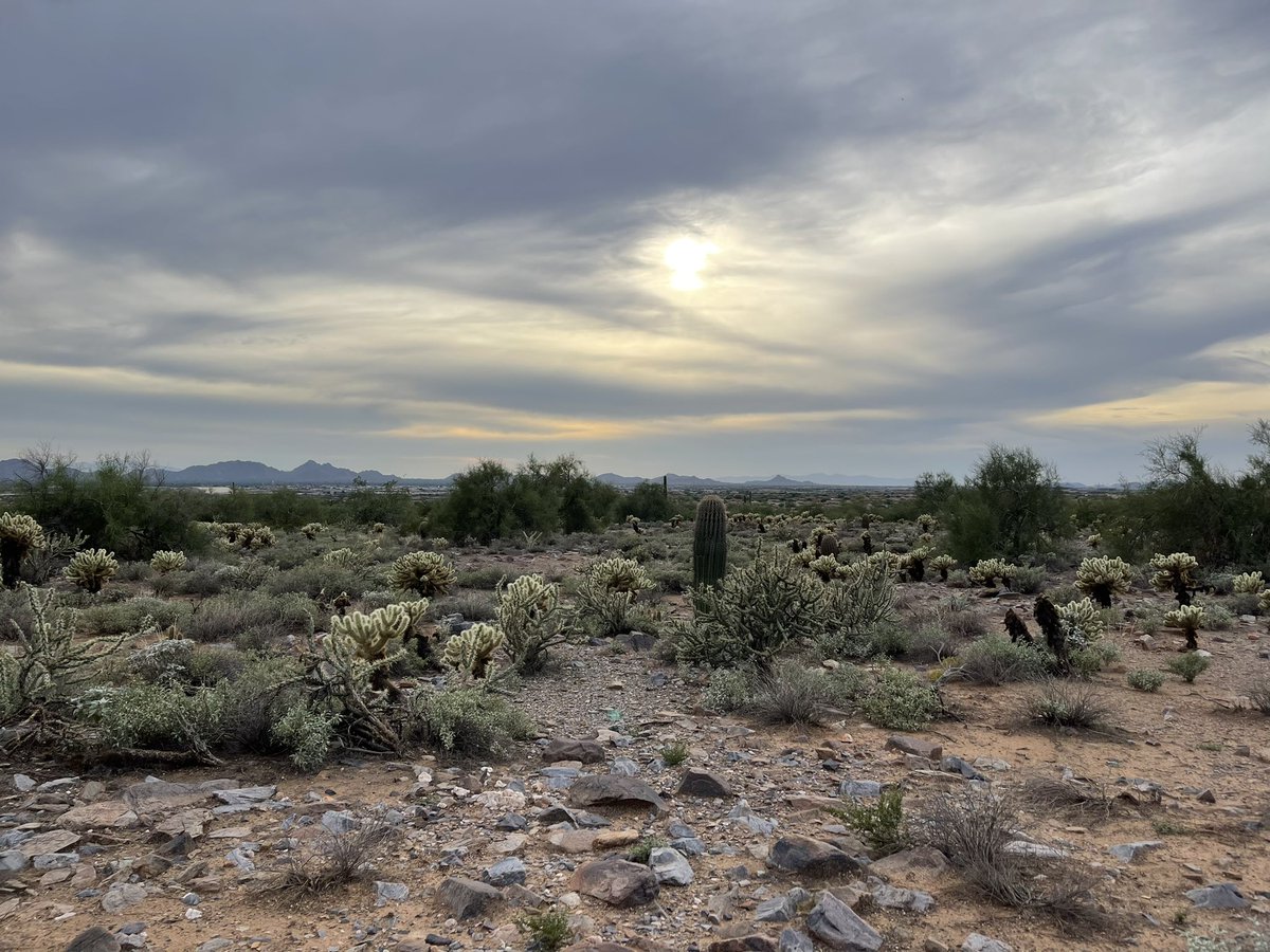 Not only did I have an amazing time networking and learning at #acph2021, we spent a lot of time outdoors, hiking and taking in the beauty around us. Time change aside, I left feeling renewed. #acph21 #az