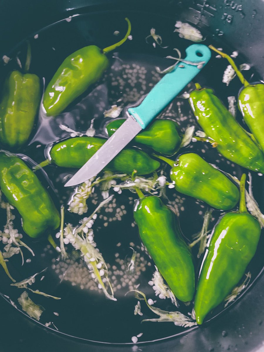 PipOlcapture's tweet photo. Un moment de plaisir… j’ai essayé !
Des piments farcis avec @Cline_coco03 🌶❤️ https://t.co/J4hZHmi2Dc