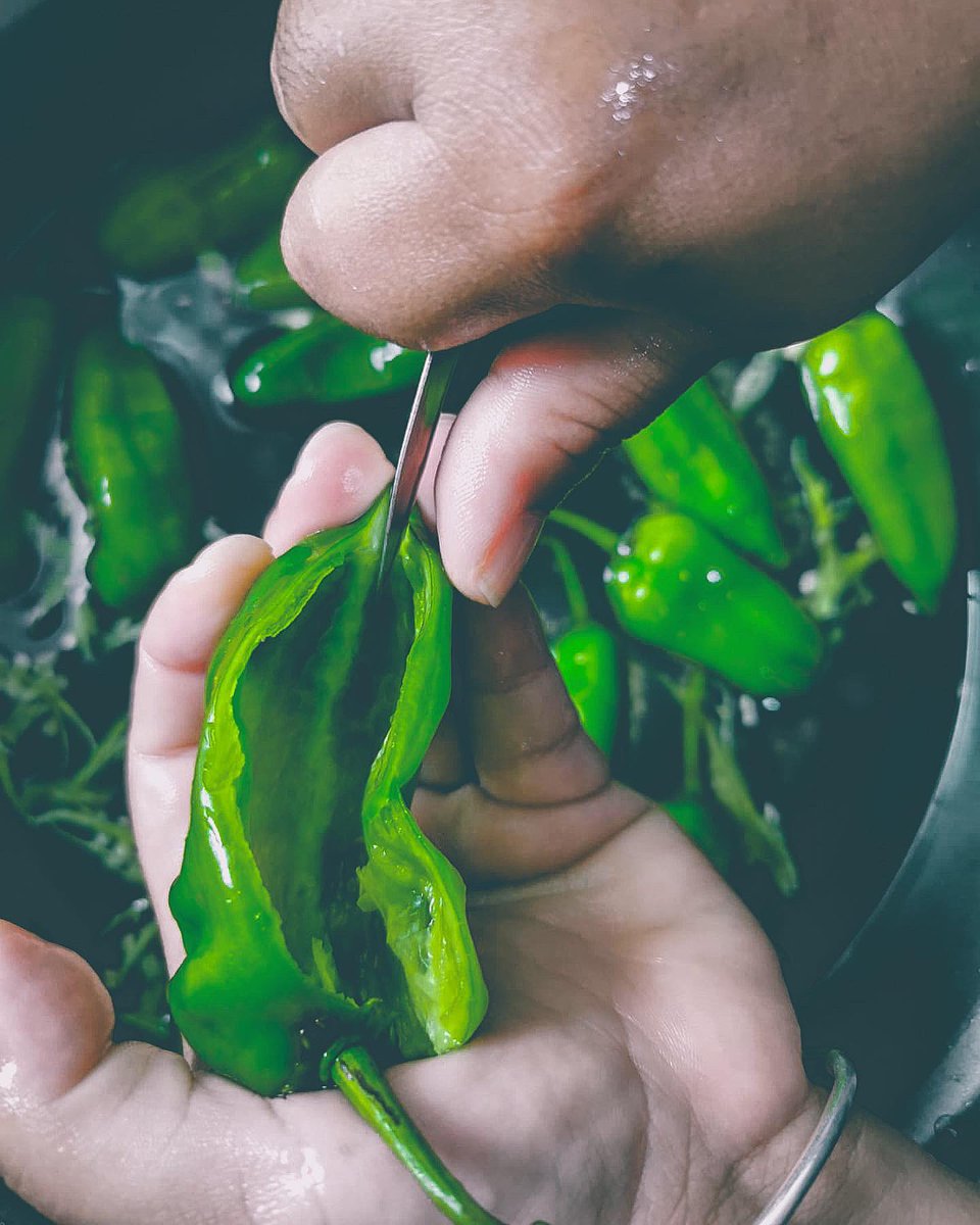 PipOlcapture's tweet photo. Un moment de plaisir… j’ai essayé !
Des piments farcis avec @Cline_coco03 🌶❤️ https://t.co/J4hZHmi2Dc