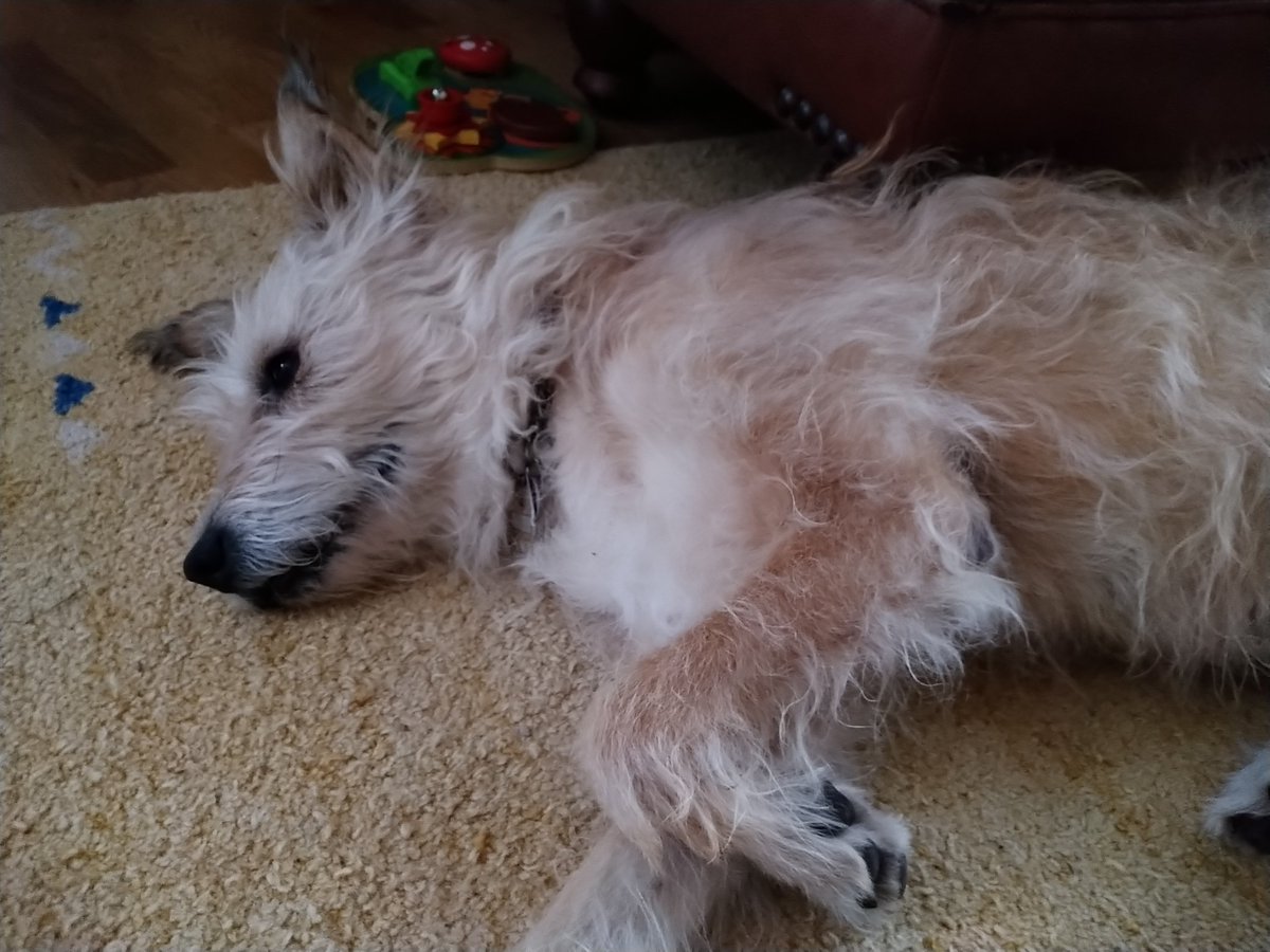 Spretbert (@spretbert) on Twitter photo 