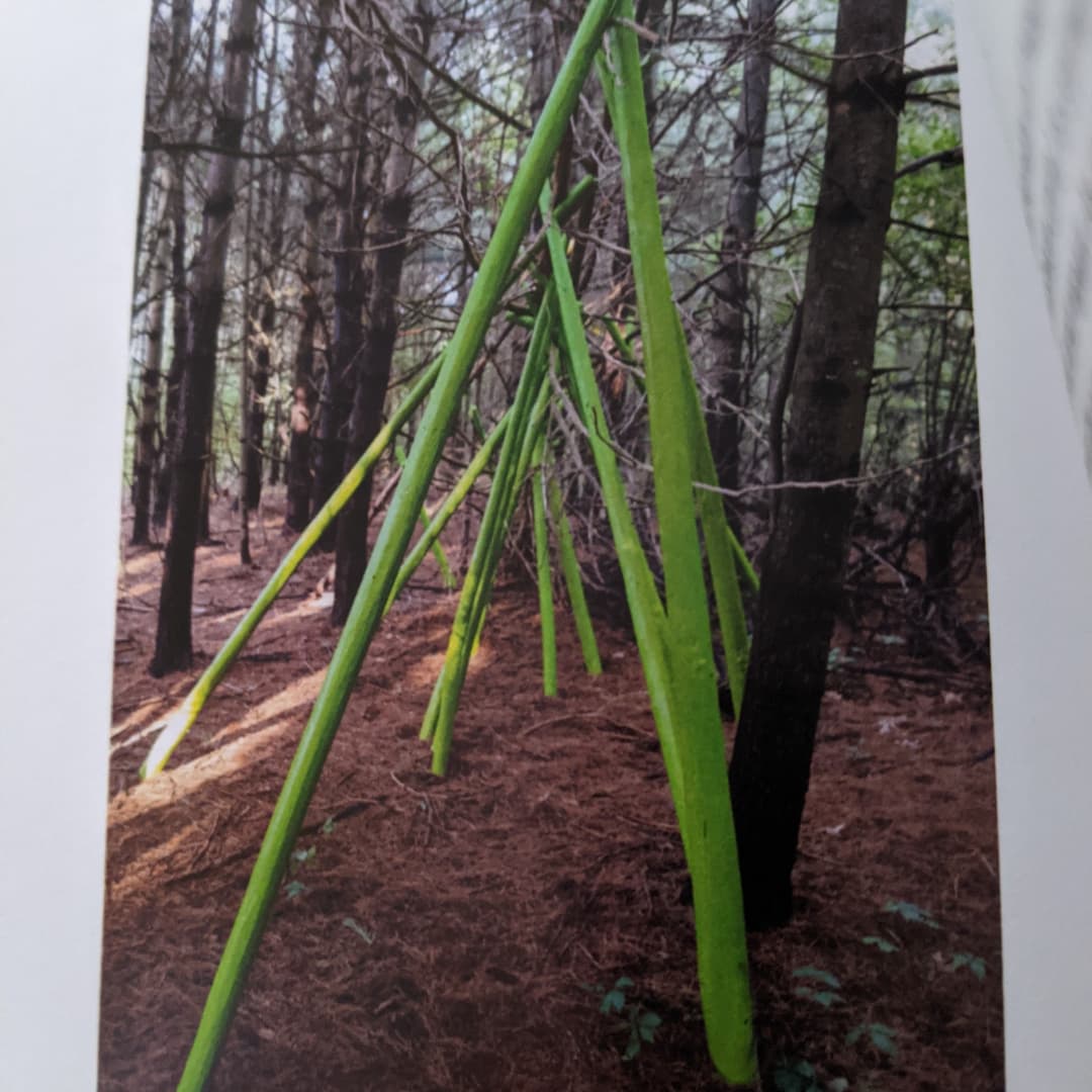 cb99videos's tweet image. A #poem by #CarlaSchwartz #limbsupport #kellygoff #PoetsTwitter #poetrycommuñity