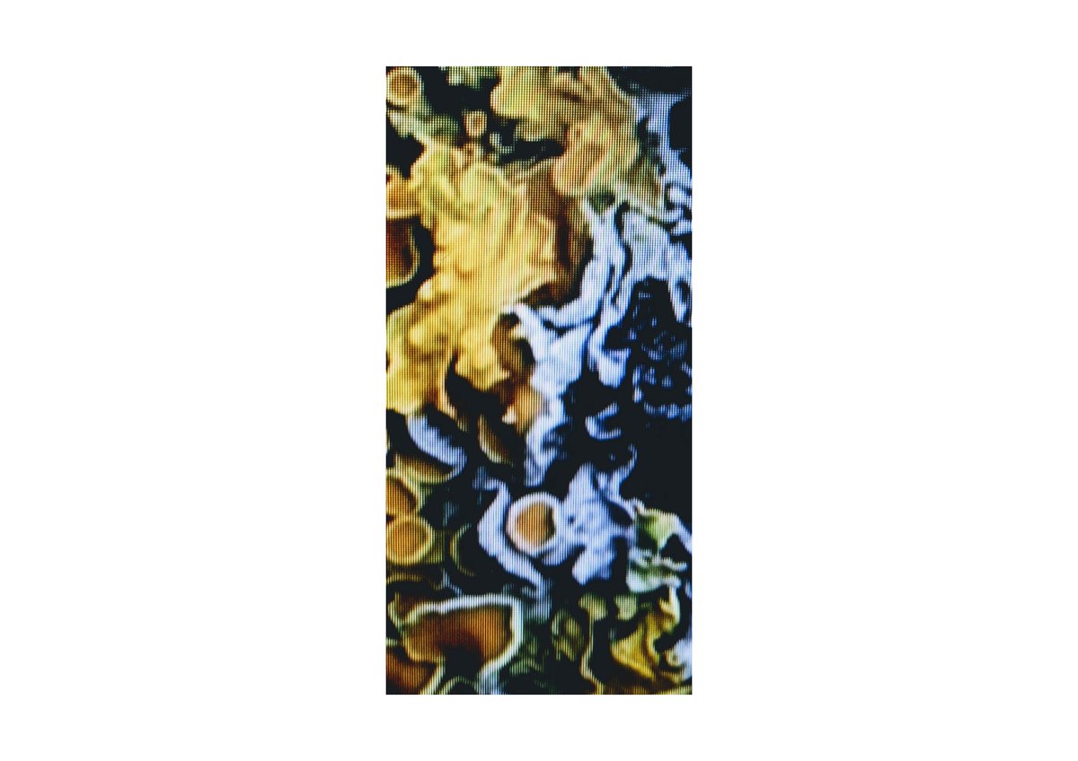pl1ts's tweet photo. it is now burnt.

thank you
@mathMakesArt 
@PabloRadice 
@rmtrl1 
@MCHX17 
and the couple of anonymous collectors.
your support means everything.

you'll receive the piece 
//very close to nature 00X//
on 11.11 https://t.co/aDDuRHZocJ