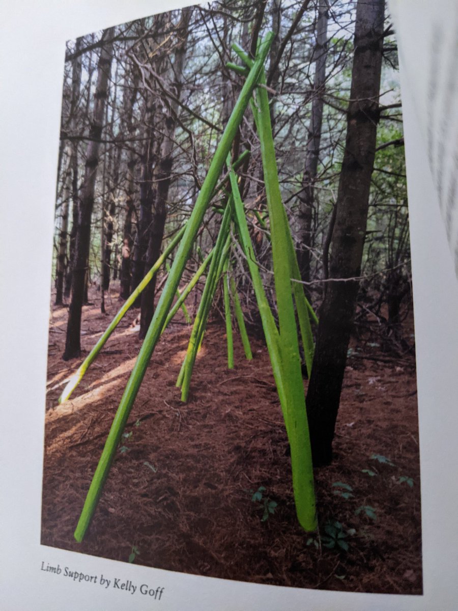 cb99videos's tweet image. My #poem #limbsupport #yoga for the newly implanted #PoetsTwitter #poetrycommunity  from #southboroughopenlandfoundation after #Kellygoff