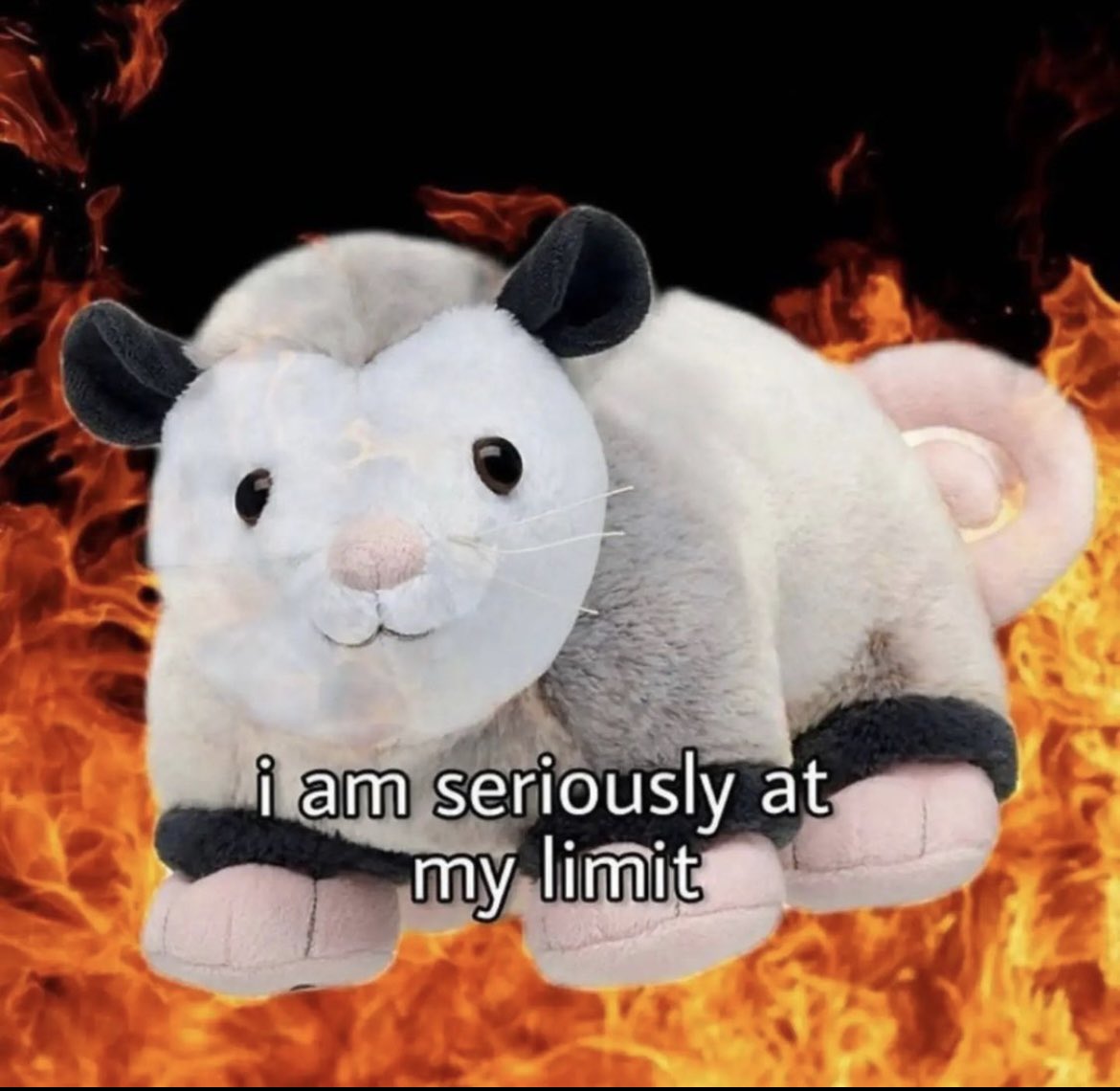 voidizen's tweet image. 