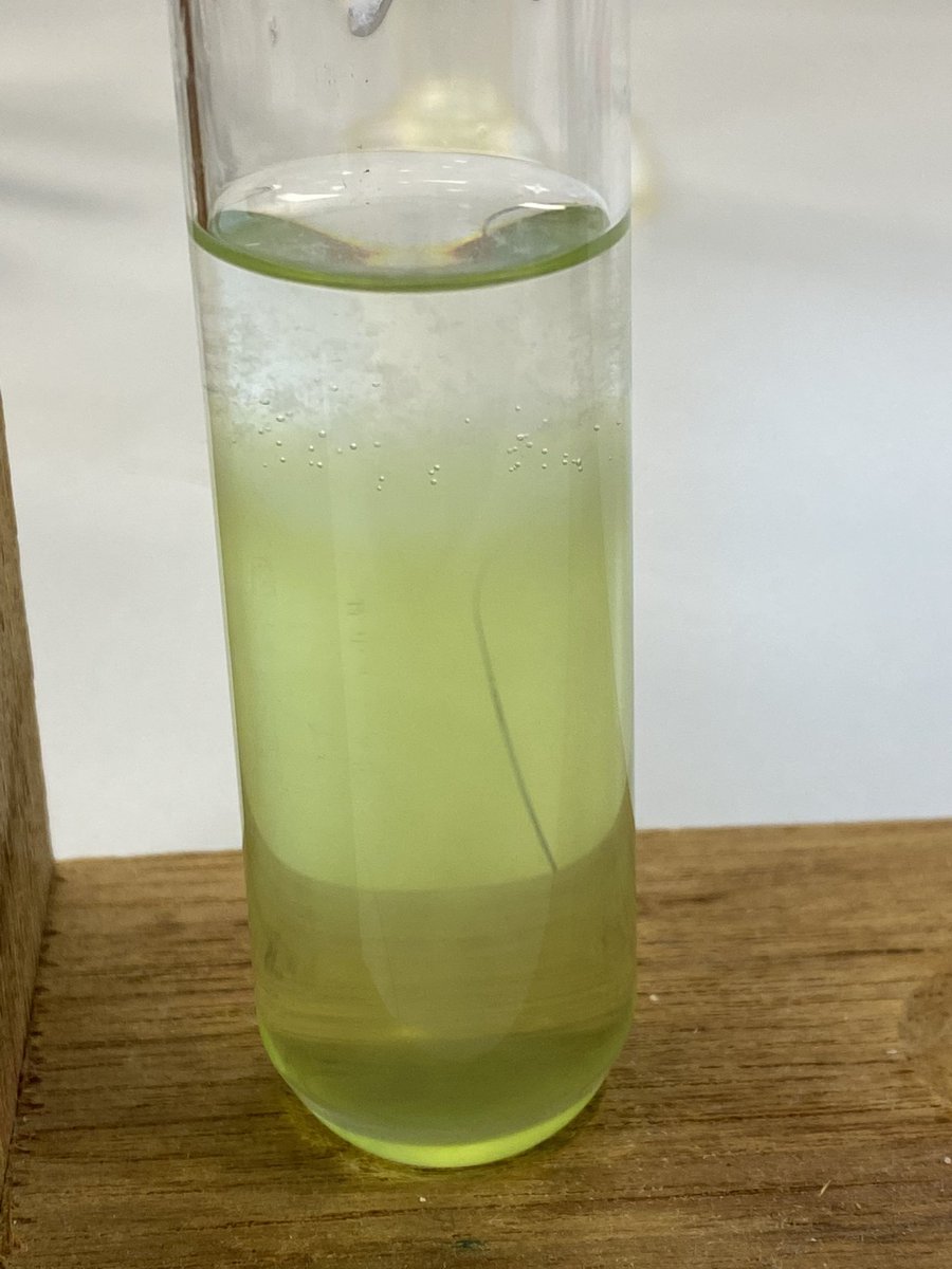 Had a great time on campus today for biology & physics lessons 🧪🧬 I know this is a new module for BA3 and in my opinion it’s fab & definitely boosting my confidence in delivering science in primary. Here’s DNA extracted from a kiwi! #strathba