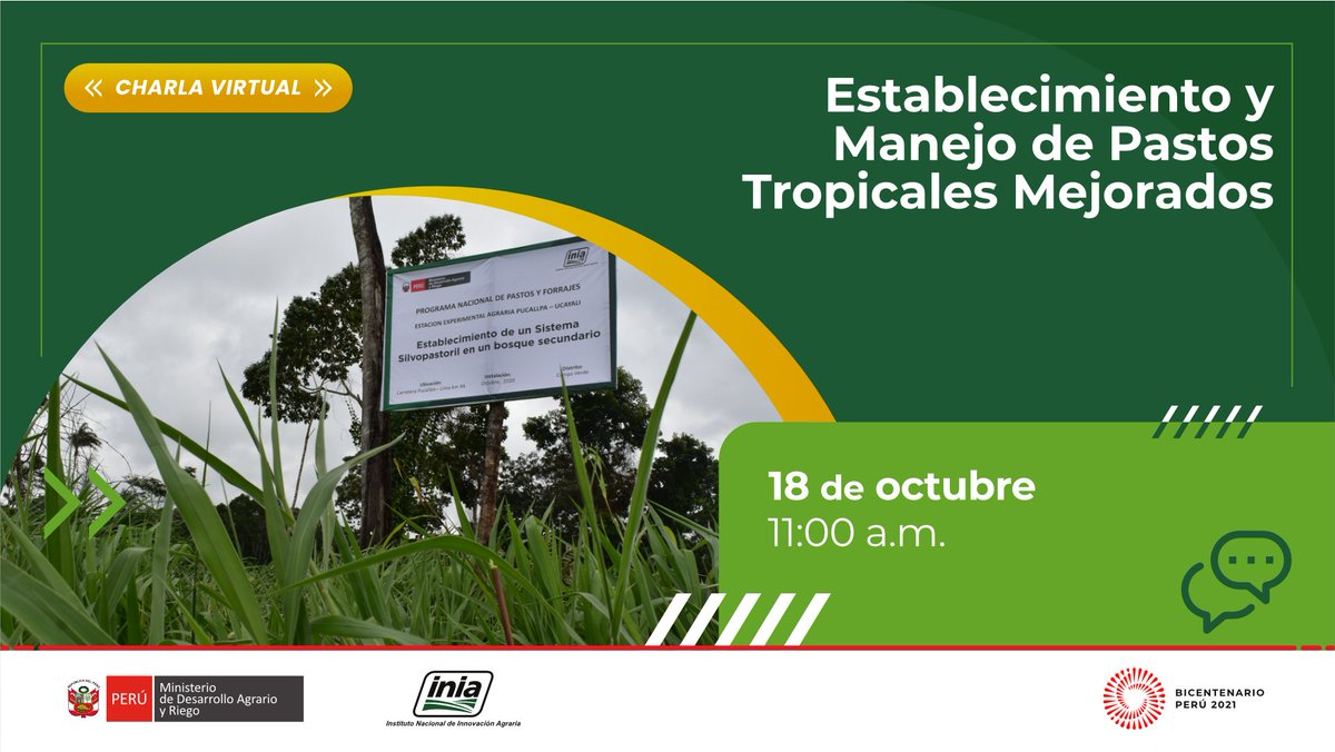 INIAPeru's tweet image. 📣 [Atención]
📅 Este 18 de #Octubre, te invitamos a participar de la charla virtual "Establecimiento y Manejo de Pastos Tropicales Mejorados”.
▶ Mira la charla aquí ➡ youtu.be/ftcbvsEZG9s