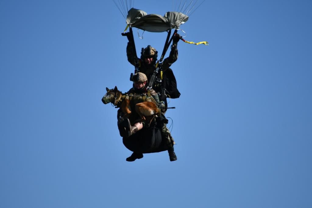 1erRCP's tweet image. Honorés et fiers d'accueillir @florence_parly et de lui présenter les avancées rendues possibles au #1errcp par la loi de programmation militaire et par le plan famille.
Le régiment s’est déployé par la 3ème dimension et a montré à nouveau qu’il est prêt à aller du ciel au combat