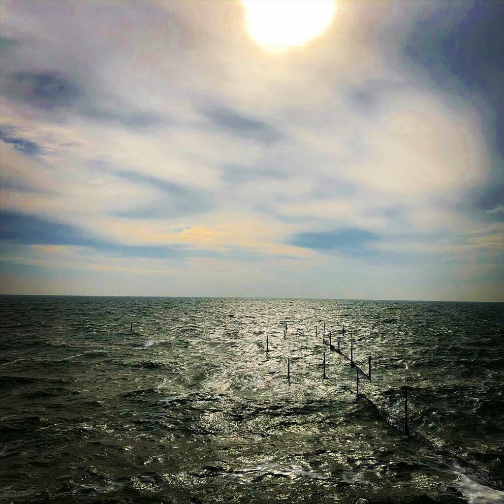 elfuego2's tweet photo. vanaf de Afsluitdijk https://t.co/xOlawNVUO8 https://t.co/ExUn57yhJ0