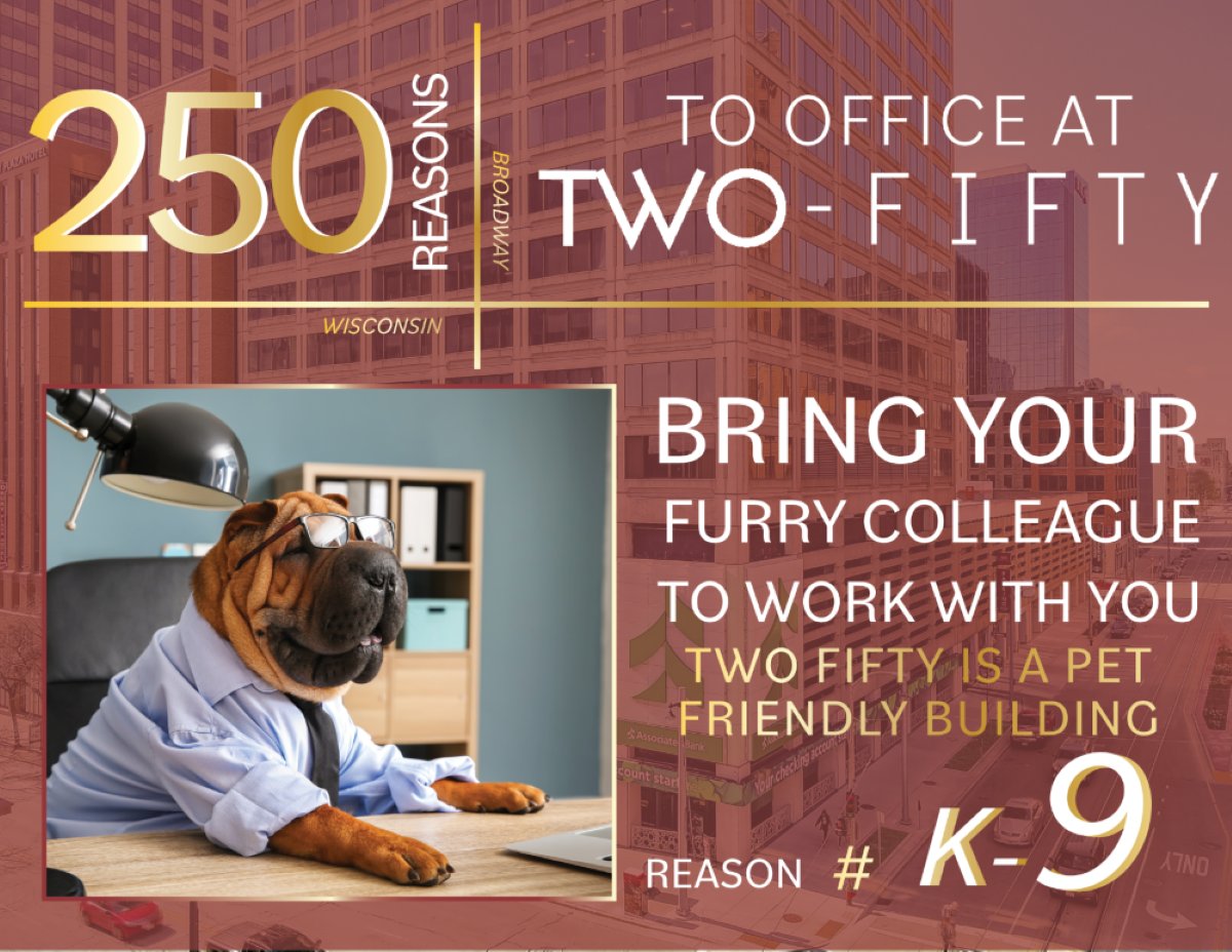 Don't leave your four-legged, furry friend at home!  Bring them to work with you where they belong!
conta.cc/3DvvZPH