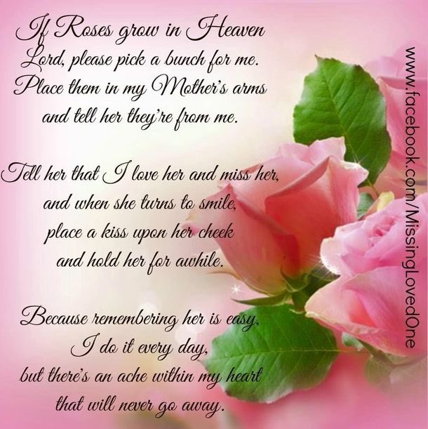 RoseOfVersaill1's tweet photo. For my beloved mom 💔🥀 https://t.co/22JFNl5i0F