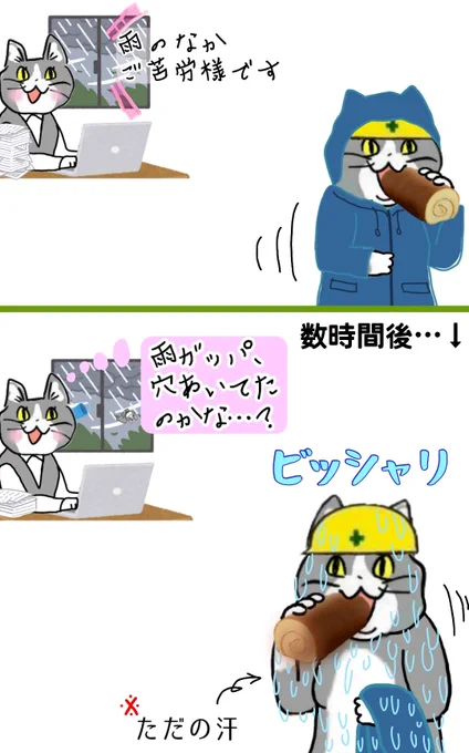 雨ガッパ着ると、暑すぎて雨だか汗だか判らなくなる現象 #現場猫 