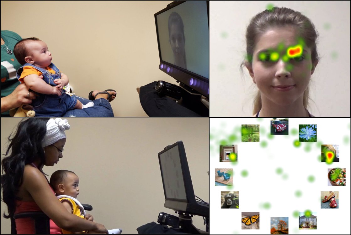 Lizzy_Simpson's tweet image. Dr. Elizabeth Simpson (@LizzySimpson) - I study early infant social cognitive development in humans &amp;amp; monkeys, including studies of #NeonatalImitation &amp;amp; #FacePerception. I longitudinally track infant behavior (e.g., eye-tracking) &amp;amp; physiology (e.g., oxytocin, ABR). /9