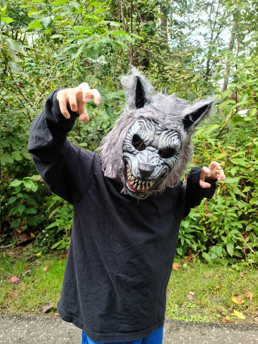 MrsLostInPlace tweet media