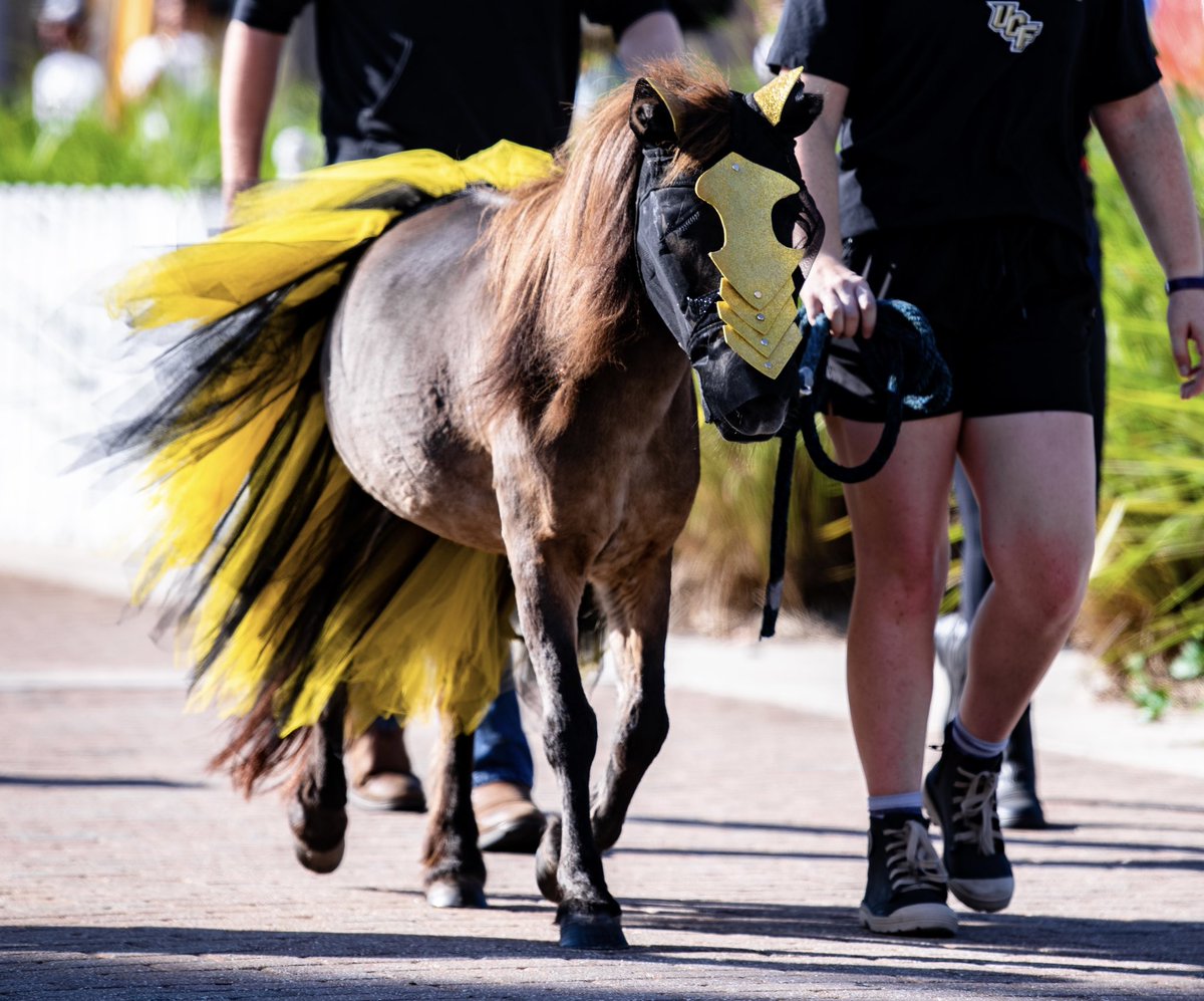 It still me.

ucfknights.co/3DBQE4V