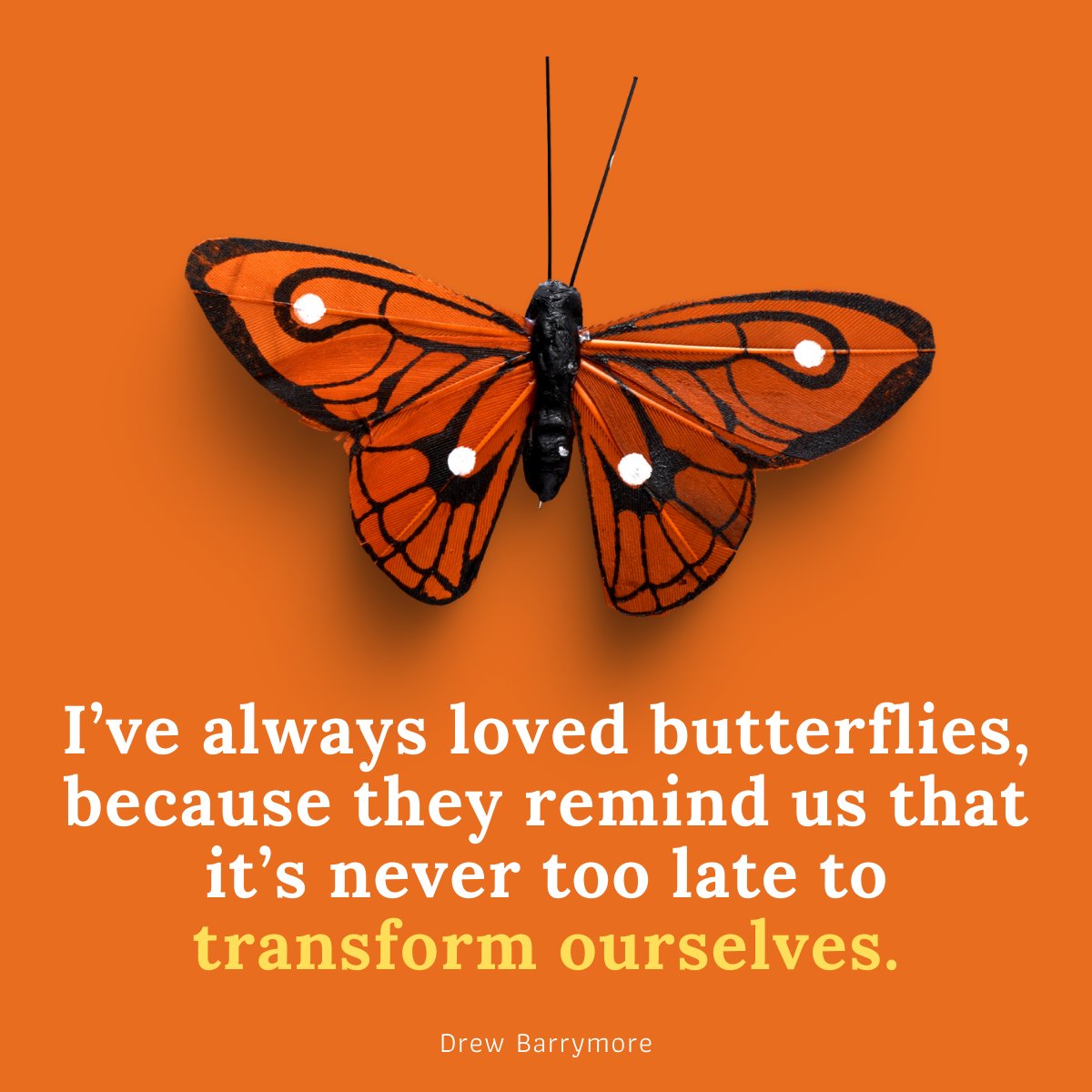 This is my first week in my new role at <a href="/StrategyCorps/">StrategyCorps</a>

The marketing side of fintech is such a rewarding “zone” for me since it blends so many of my experiences of storytelling and tech.

Looking forward to creating great things with this new team! 🦋