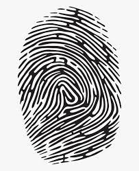 Simple_Pepe's tweet photo. Let’s begin our journey into crypto by talking about hashes. You can think of hashes as digital fingerprints.  In the real world, fingerprints are used to uniquely identify individuals. https://t.co/CJ3EffXw1C