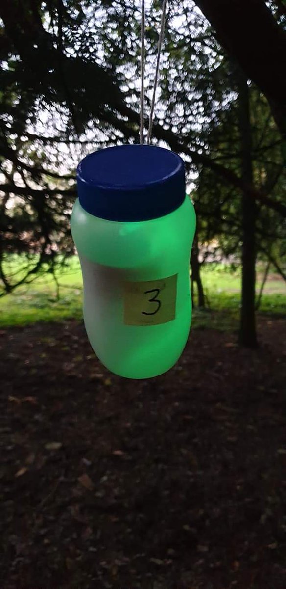 1stFSG's tweet photo. Tiger Cubs tonight, Glowing Code Cracking in the woodland! First time for many, such a great evening!
Thanks Joe and Zoe for your help -JB https://t.co/ytEekaAnGc
