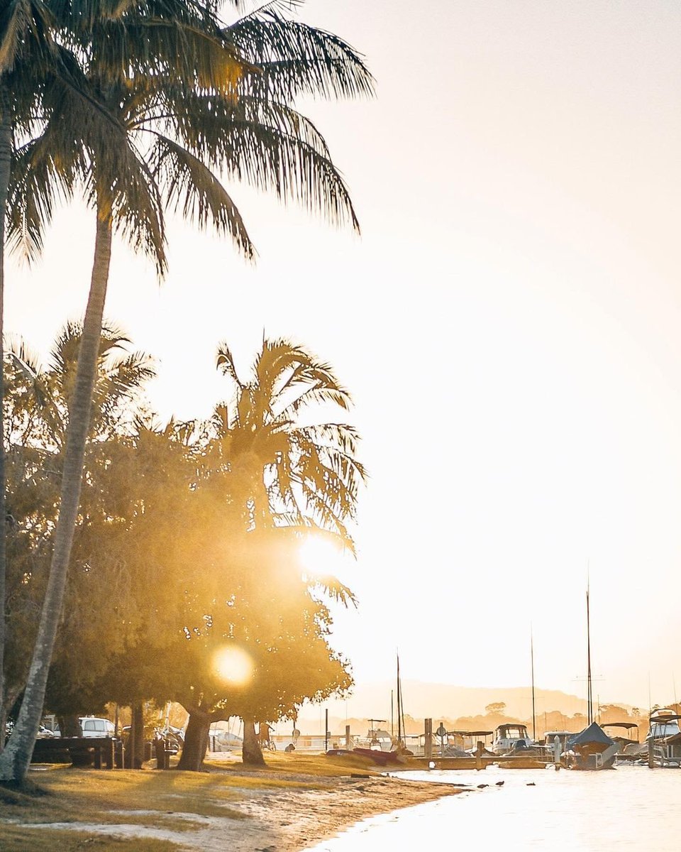 Dreaming of making this #noosa backdrop part of your everyday routine? Head to the link in bio for our roundup of the best ways to work from Noosa, with the best co-working spots and hot desks in town, so you can work from Noosa like a boss 💁‍♀️ 
​
 📸 @florencelemyre 💫