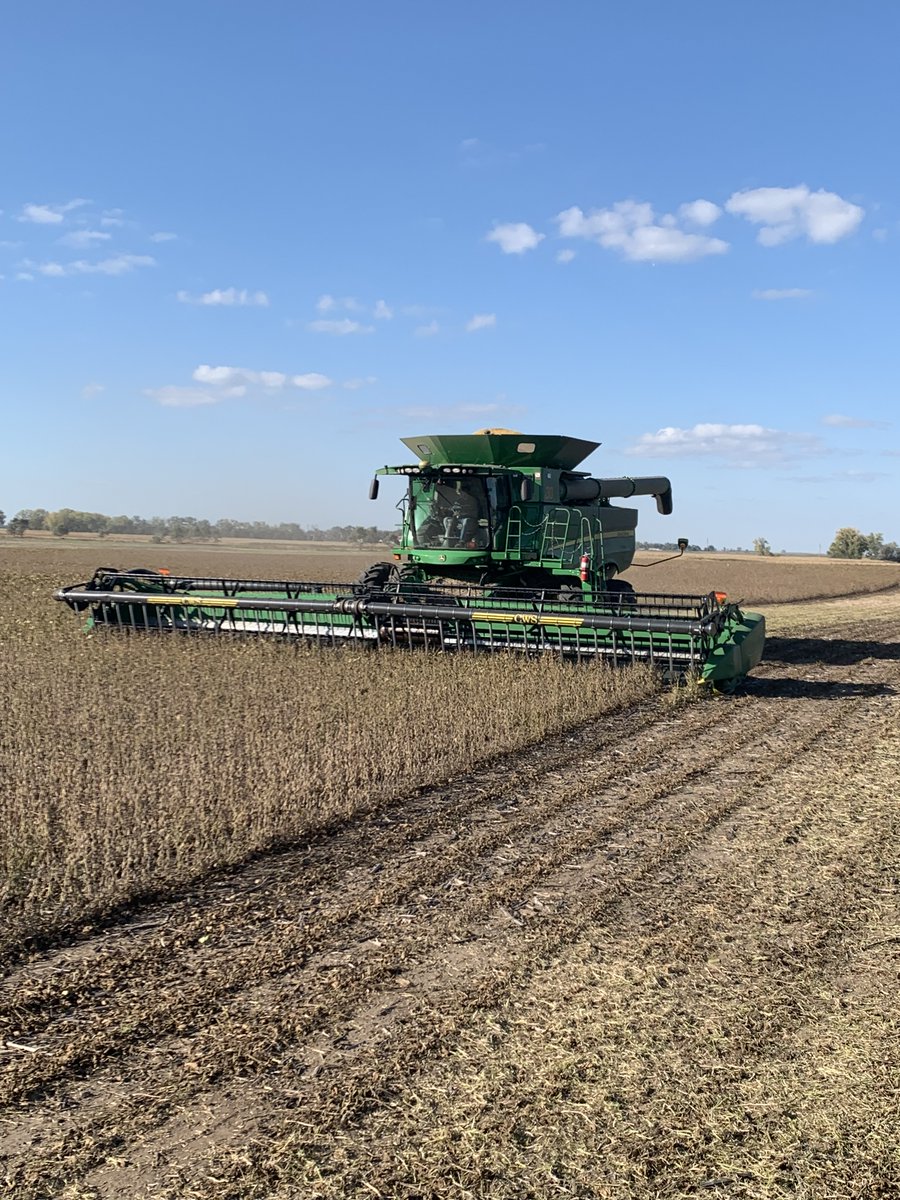 Custom Harvesting

-John Deere S780 with YieldSense
-40' Draper with Air Reel

Will Travel 
Call or Text 605-350-4677