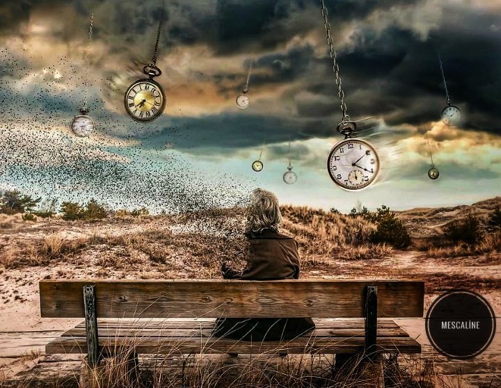 Değerlerimiz eylemlerimizde bir fark yaratmıyorsa, riyâkârlık üreten boş-inanç olmaktan öte bir anlamları yoktur...