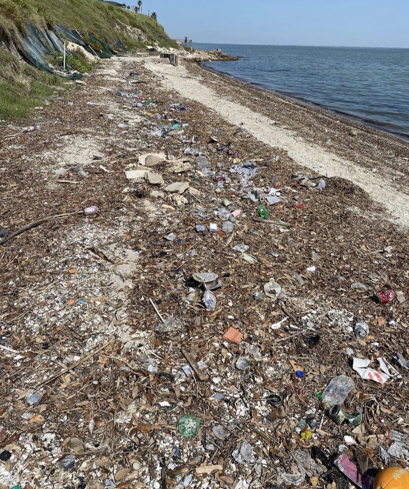 Islander Green Team 🌱 tweet media