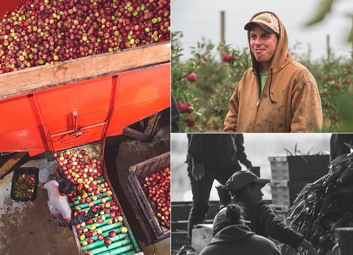 It's #fresh #applecider #season <a href="/Five_Acre_Farms/">Five Acre Farms</a>