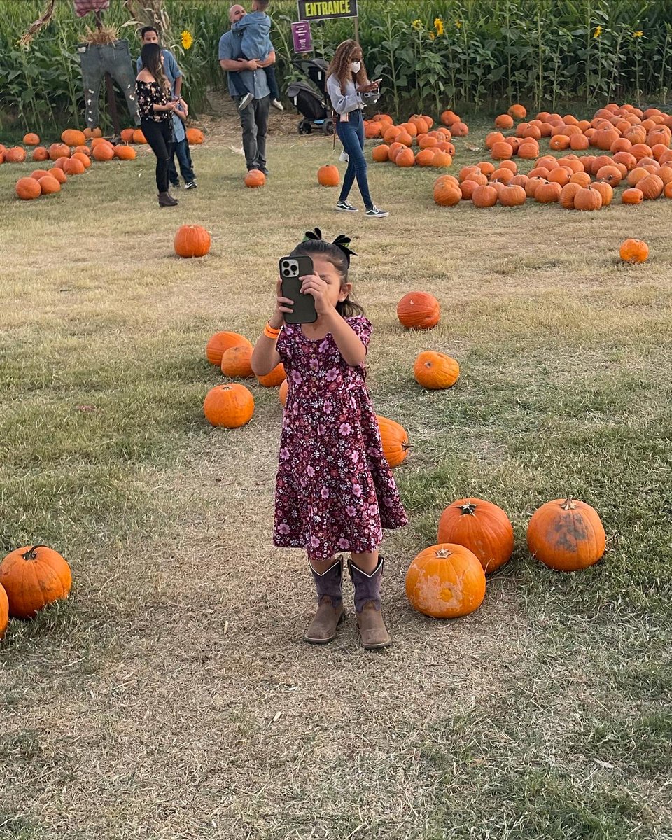 Our pictures >>> the littles ones behind the camera🎃 📸✨