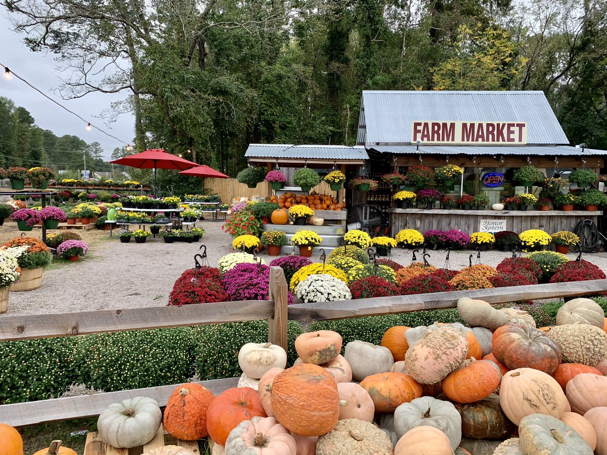 K_Jelich's tweet photo. I had to take a moment and take in how beautiful the Moyock Farm Market is this time of year! I love our community! ❤️ https://t.co/ub8MKHMIqn