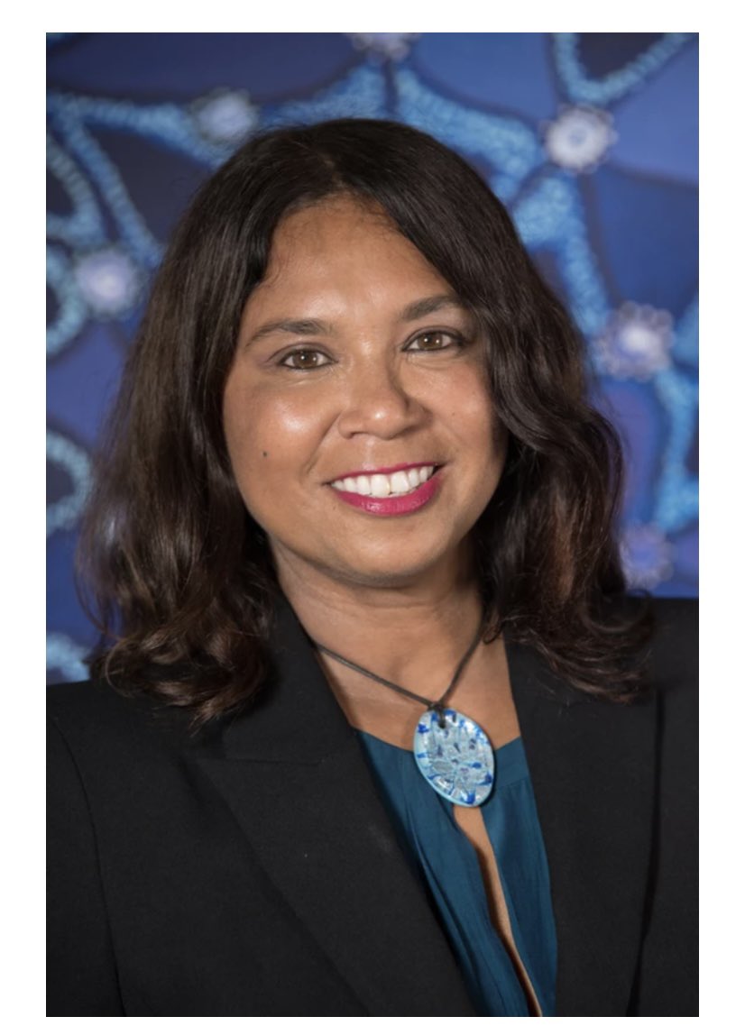 BecHarcourt's tweet photo. We’re so thrilled Dr @TerriJanke is joining us to share her insights & expertise #TrueTracks @newsouthpub @IndigBizMonth @UNSW all welcome FREE registration @UNSWIndigenous @UNSWLaw this book is a must for all & will be included in our @UNSWbusiness & @UNSWAGSM curriculum https://t.co/8o1xIUQ0Cc