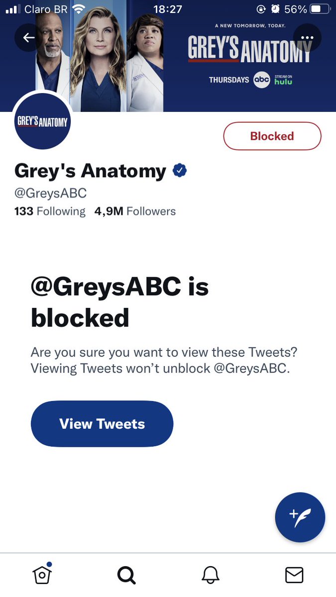 bibi tweet media