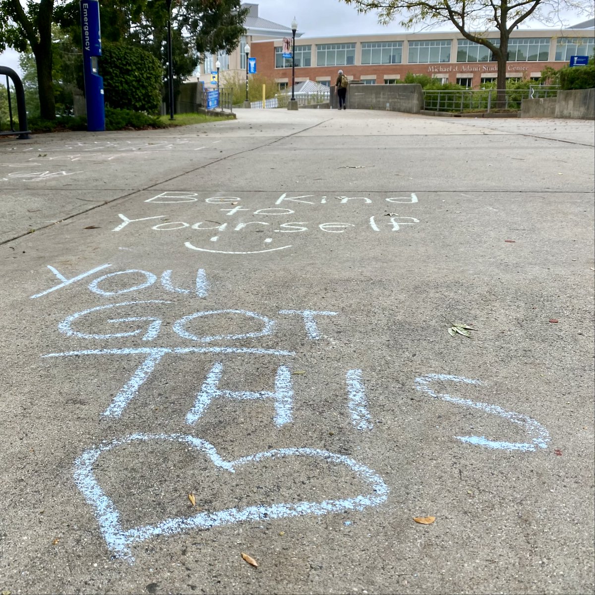 Southern Connecticut State University 🦉 tweet media