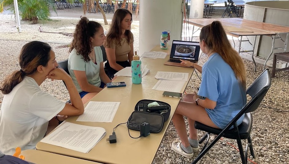 ECMarineScience's tweet photo. Stay tuned as the #HorseshoeCrab Behavioral Research Team @eckerdcollege preps to launch maze trials and study spatial learning in #Limulidae. Dylan Davidoff leads Taete Bost, Helena Lewis and Cristina Lopez-Miranda in protocols. #WomenInSTEM #MarineScience https://t.co/qP1XFVulzj