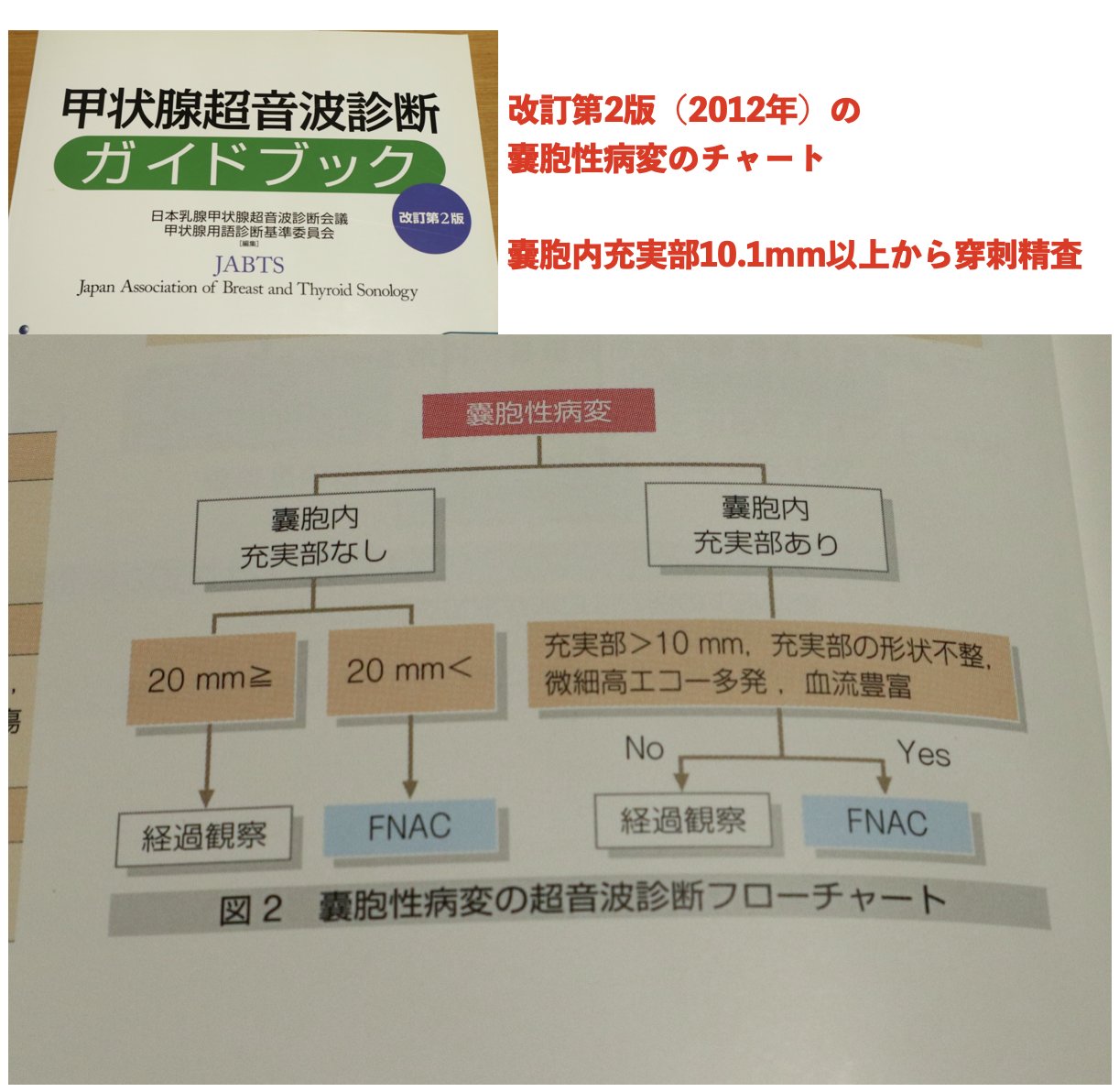 日本乳腺甲状腺超音波学会 – търсене / X