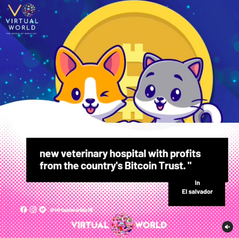 VirtualWorldc19's tweet photo. https://t.co/XK2tyigGx4