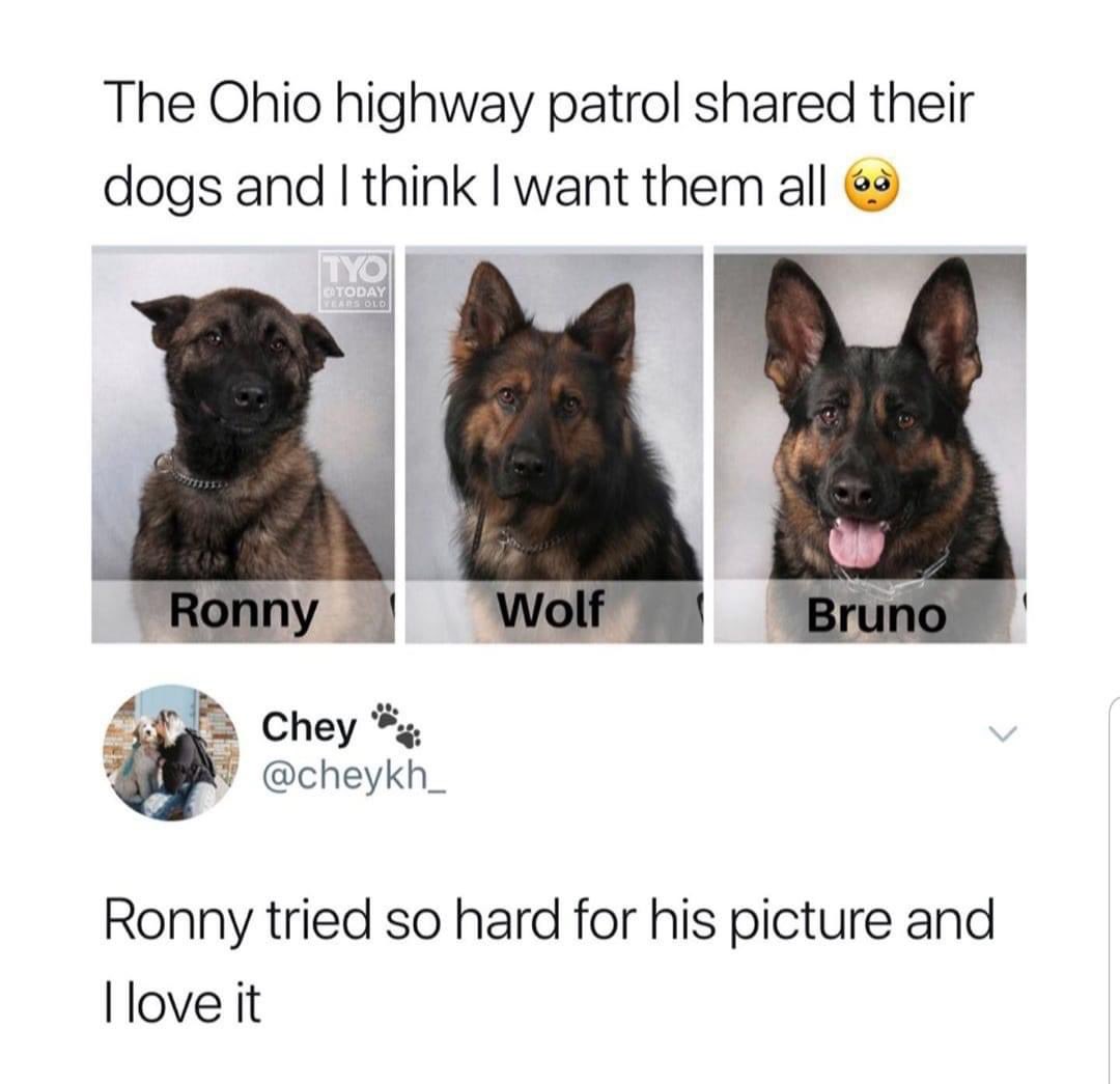 Nitskul1's tweet photo. 🥺 Ronny https://t.co/229ZuH5Opw