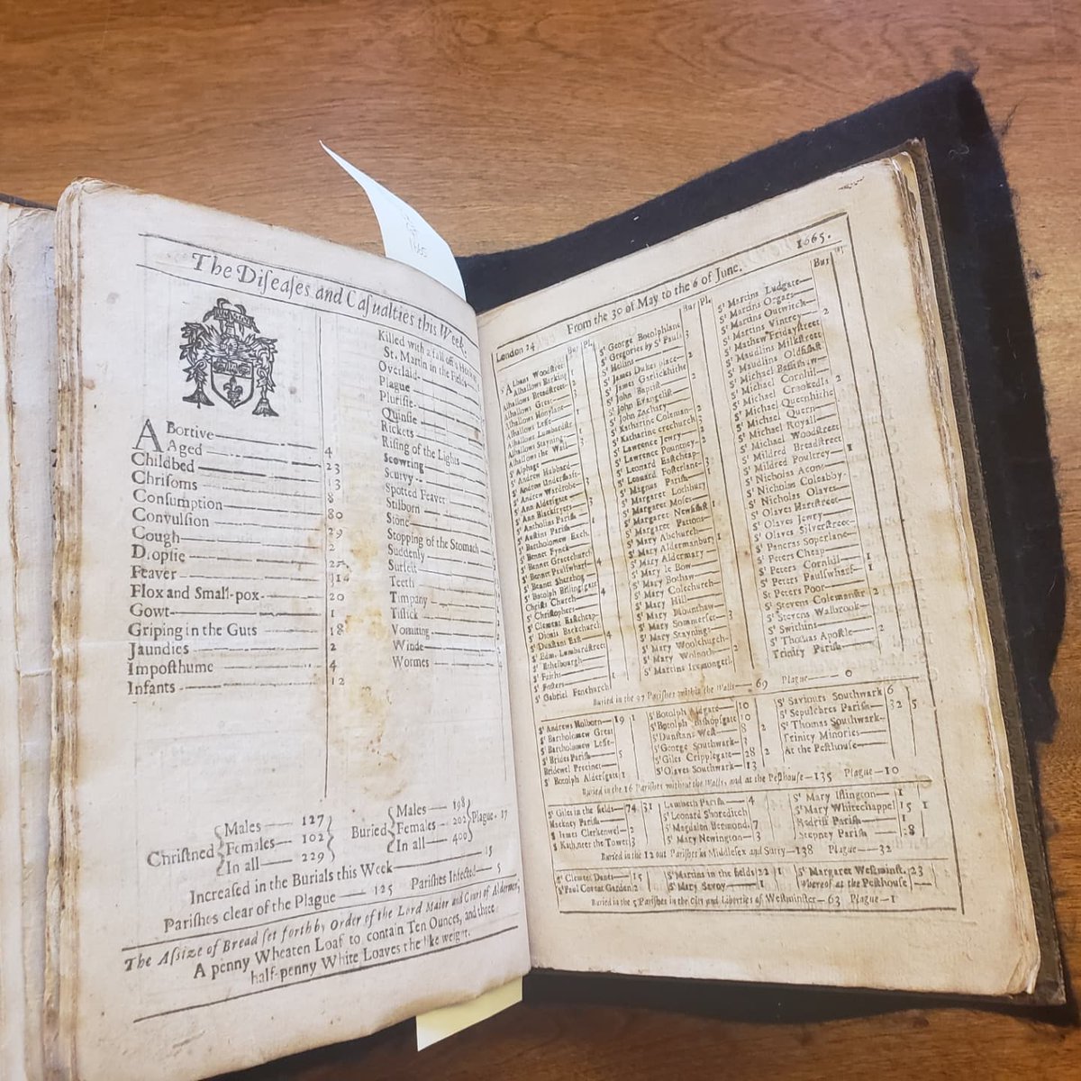 Satirical Heyoka Can't Be Too Careful 🏆 tweet media