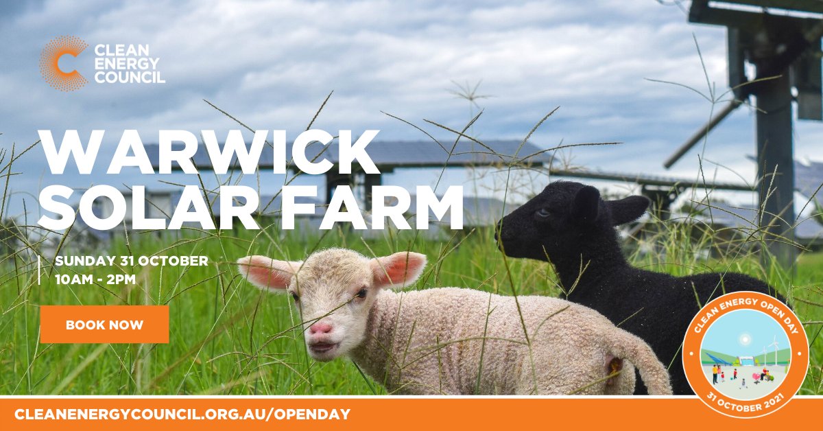 cleannrgcouncil's tweet photo. Head along to #CleanEnergyOpenDay at Warwick Solar Farm visitor centre for a panoramic view of the #solar farm, including the 750+ sheep that graze the site. A bus tour will also be available, with places strictly limited. Visit our website to learn more! https://t.co/5Kw7ESvFod https://t.co/cxv2Nyqvng