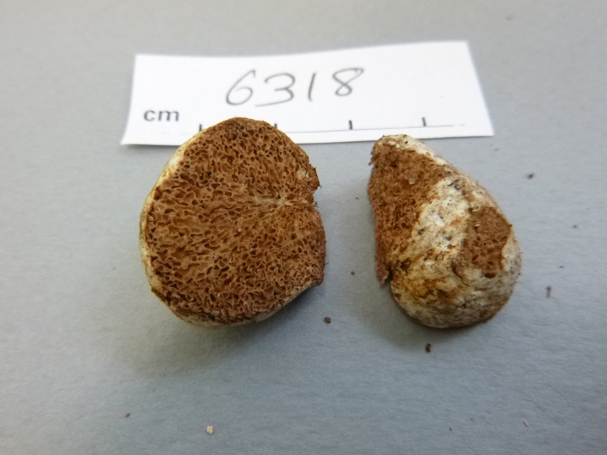 Trish Fleming tweet media