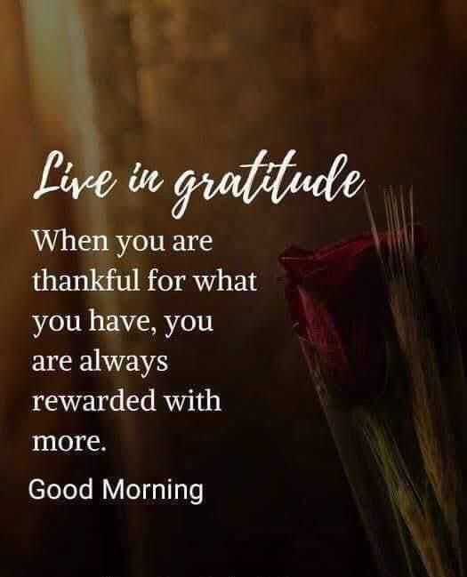 KumudPandey18's tweet photo. Suprabhat🌺🌺 https://t.co/auCTyc8rf4