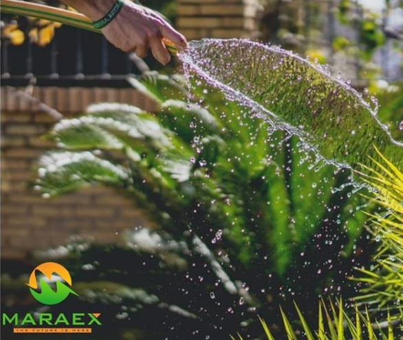 MarcTchouanche's tweet photo. Knowing how to properly water a vegetable garden is key to growing produce in its best form. maraex's top tips include watering your vegetable plants deeply to the root systems two to three times a week.

#plantsofinstagram #growsomethinggreen #eatwhatyougrow #growyourown https://t.co/oBRuQFs2qK