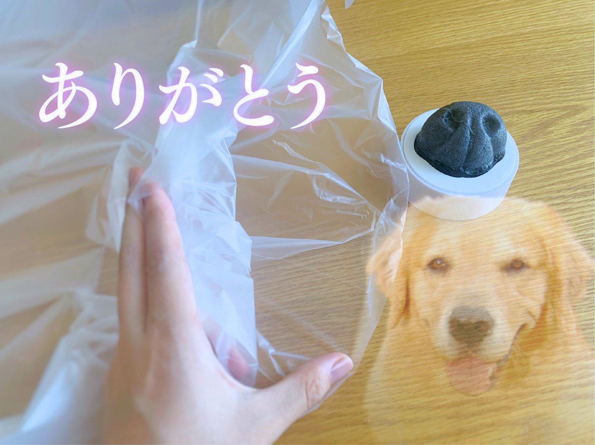 犬の濡れた鼻でレジ袋を開けられるスポンジ が可愛すぎてたまらん 意味不明で好き レジに置きたい Togetter 犬の濡れた鼻でレジ袋を開けられるスポンジ が可愛すぎてたまらん 意味不明で好き レジに置きたい Togetter