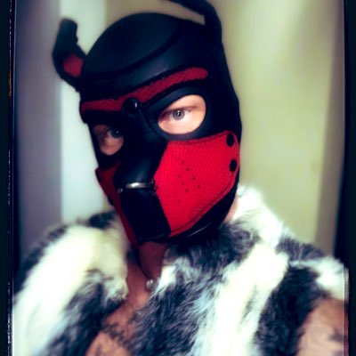#cam4pup #c4puppy  #NewProfilePic https://t.co/AmATcOR3yh