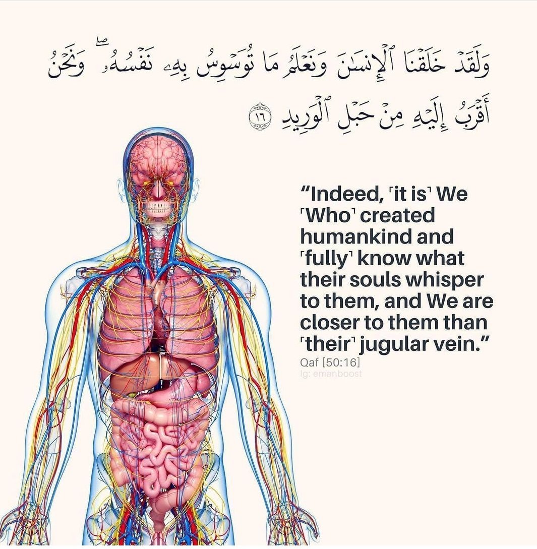 AmnahSehar's tweet photo. Pray and believe 🥰
He is our Lord 🙏 He Listen and Response in your best interests.💞
#trustAllah #soulneeds https://t.co/CZXBFi20Md