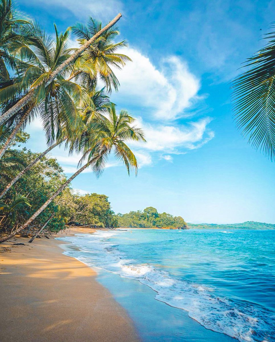 📍 Punta Uva 🍇😍

📅 17 de octubre bit.ly/hikingtourscrw…

📸 @ tralvelcoffeecr